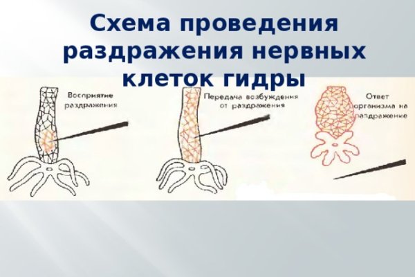 Кракен сайт at