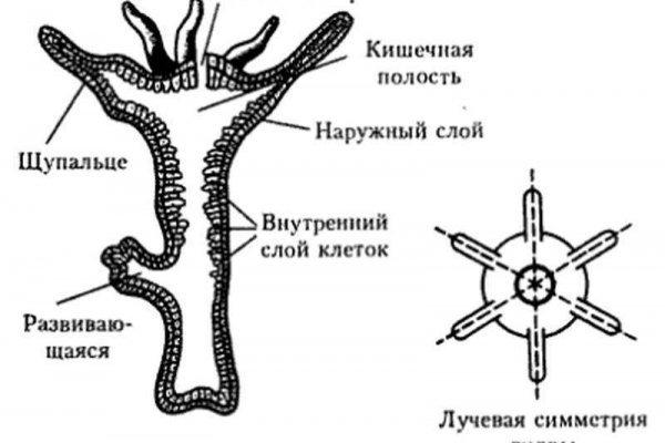 Кракен наркошоп сайт