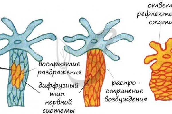Почему не могу зайти на кракен